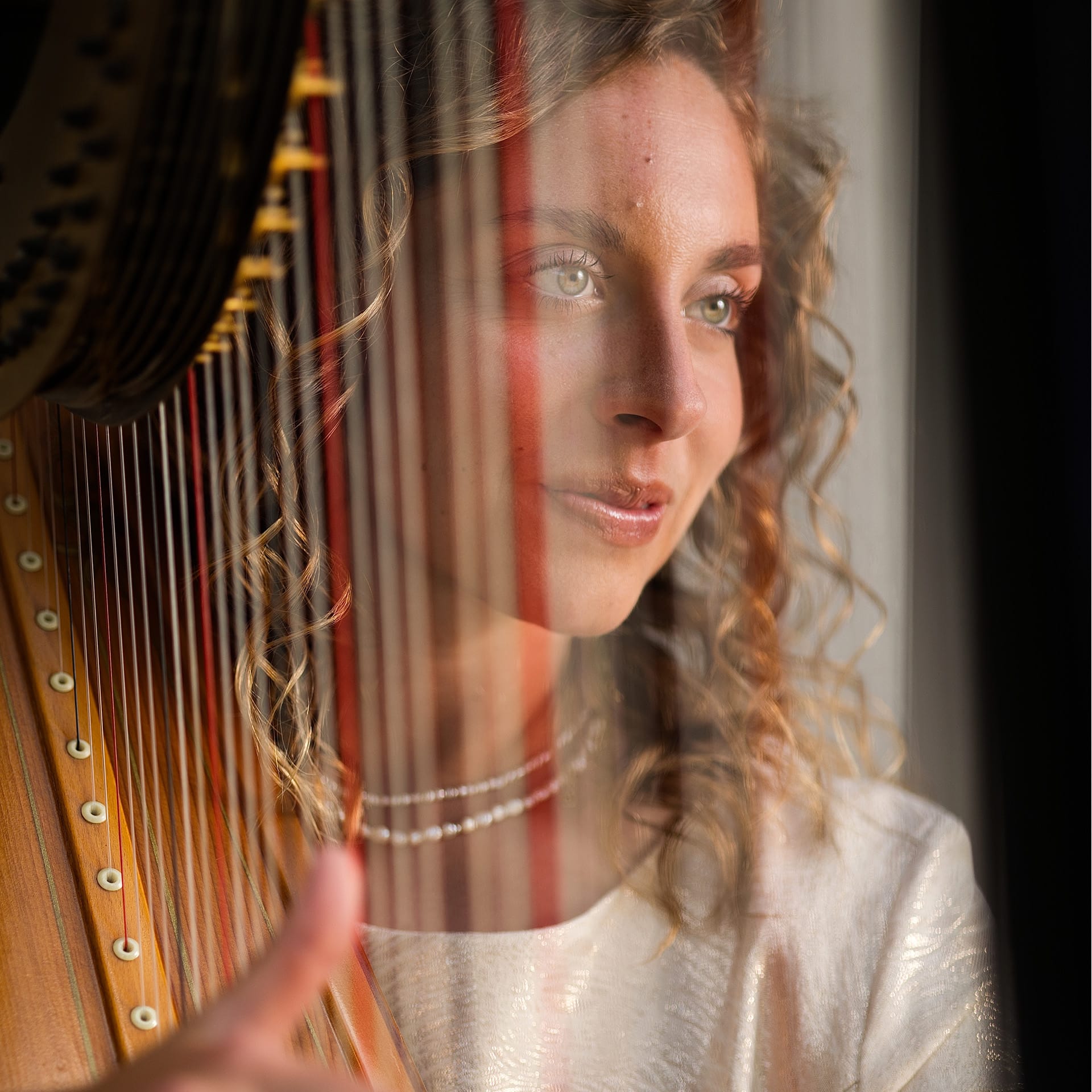 Branding photo of amazingly talented professional harpist Olivia Claggett of Ohio.: www.sharonvalleyharp.com